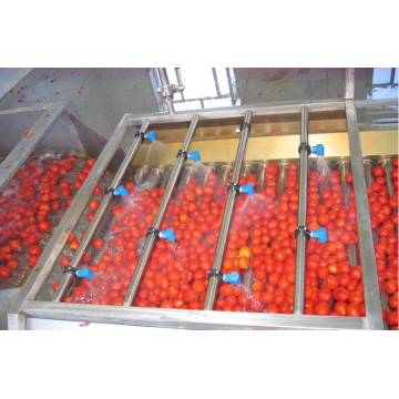 Automatische Tomatenverarbeitungslinie